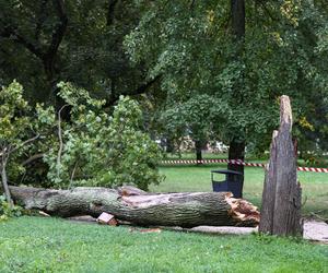 Park wilanowski zamknięty po burzy w Warszawie