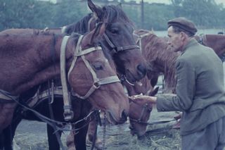 Targowisko Turzyn w latach 1964-1966