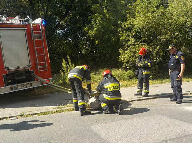 Bezpański głaz na środku jezdni