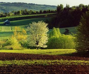 Klonów - urokliwa wieś w sercu Puszczy Świętokrzyskiej