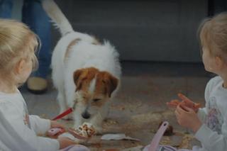 M jak miłość odc. 1742. Zuzia (Marcelina Kempka), Emilka (Julia Kempka)