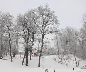 Starachowice w zimowej szacie wyglądają jak z bajki