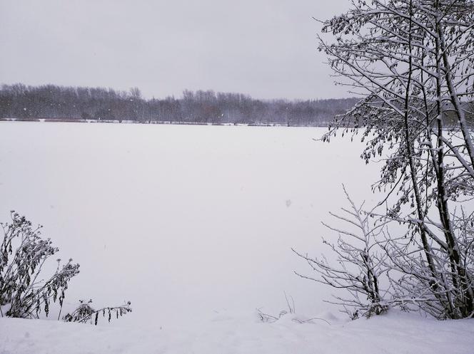 Śląskie: Intensywne opady śniegu i oblodzenia! Wszystko przez niż Benjamin [ZDJĘCIA]