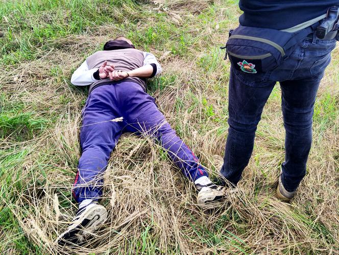 Policyjne drony wypatrzyły plantacje marihuany