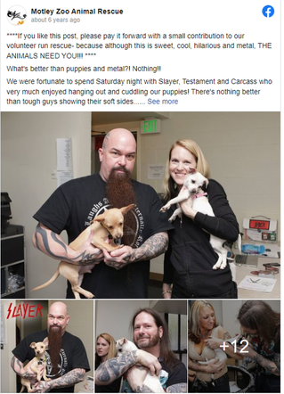 Slayer, Carcass i Testament