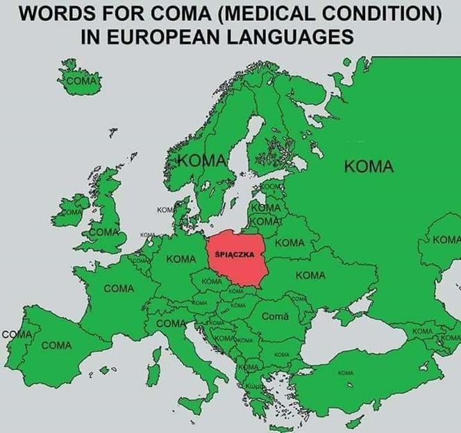 Zagraniczne memy o Polsce i Polakach. Tak nas widzą mieszkańcy innych krajów!