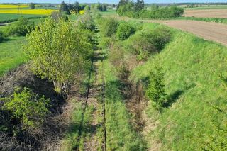 Ludzie sami wyrywają chaszcze na torach. Tak walczą o reaktywację linii kolejowej nr 241 z Tucholi do Koronowa