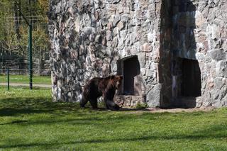 Wiosna w Zoo Akcent w Białymstoku