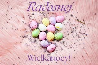 Darmowe kartki z życzeniami na Wielkanoc. Oryginalne obrazki dla każdego!