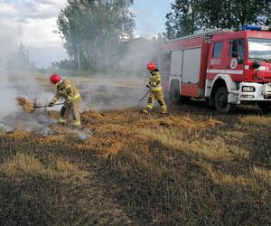 Pożar maszyny rolniczej, rżyska słomy i zboża - Lipowina gm. Braniewo