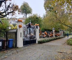 Willa na Jaśkowej Dolinie znów ozdobiona. Tym razem przechodniów zaskakują halloweenowe straszydła!