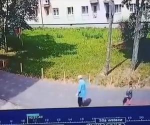 Wyciekło drastyczne nagranie. Śmieciarka zmiażdżyła spacerującą po chodniku emerytkę 
