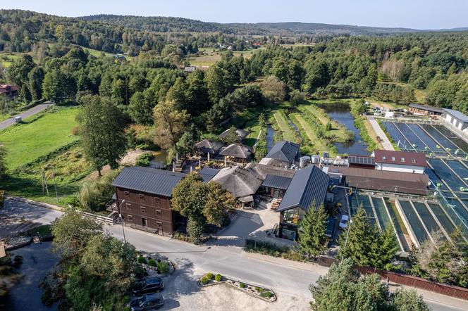 Restauracja w otulinie Roztoczańskiego Parku Narodowego projektu MTA Architekci