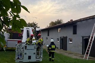 Trąba powietrzna zerwała dachy i połamała drzewa w Lasowicach Wielkich
