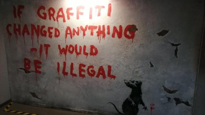 Ferie w Krakowie? Wystawę Banksy'ego, najbardziej tajemniczego artysty na świecie, koniecznie trzeba zobaczyć