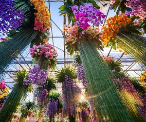 World Flower Show – Najbardziej spektakularne wydarzenie roślinne roku wraca do Warszawy!