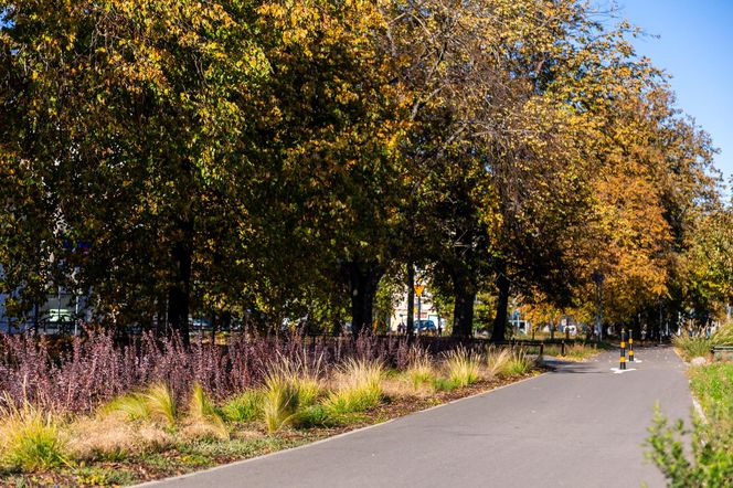 Park linearny na Bielanach w Warszawie