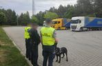 Gigantyczny przemyt kokainy