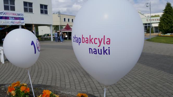 Bydgoski Festiwal Nauki