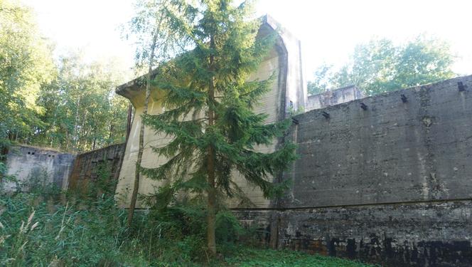 Monumentalna śluza Leśniewo z symbolami III Rzeszy ukryta w mazurskim lesie. Jest owiana tajemnicą [ZDJĘCIA]