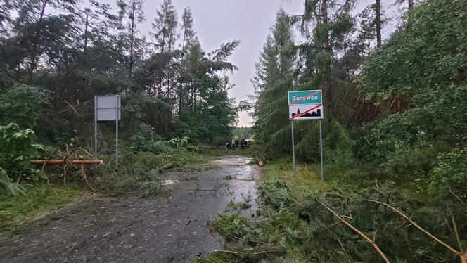 Burza w Borowcach