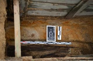 Łódź. Znaleziono szczątki trzech chłopców zamordowanych w obozie koncentracyjnym dla dzieci