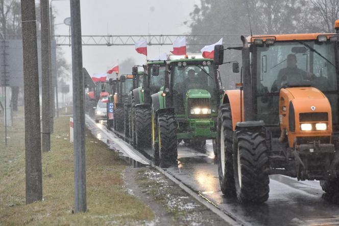 Protest rolników w Toruniu i okolicach. Zdjęcia z piątku - 9 lutego 2024