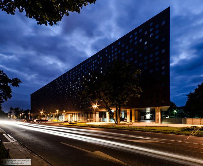 Serowiec okazuje się wdzięcznym obiektem do fotografowania