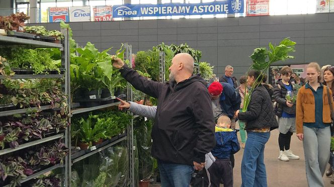 Festiwal Roślin znów zachwycił bydgoszczan! Setki gatunków i wyjątkowa atmosfera