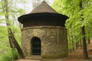 Szyb Ewa w Sztolni Czarnego Pstrąga