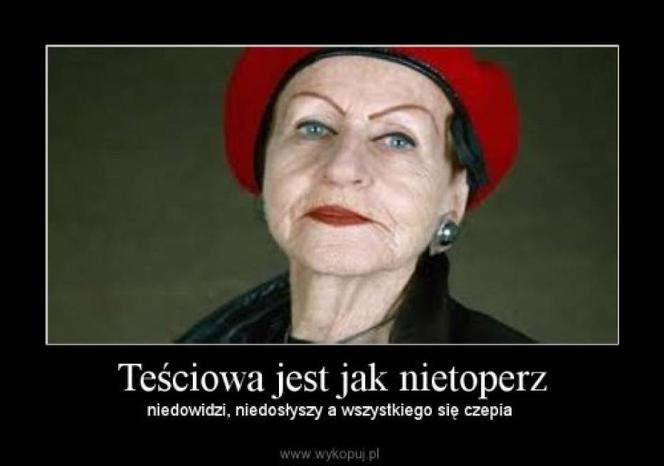 Dzień Teściowej 2020. Zobacz najlepsze memy