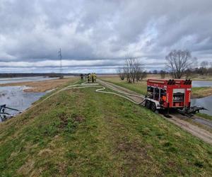 Wysoka woda w Skwierzynie