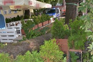 Zamość. Potężny konar runął na ludzi. 9 osób w szpitalu