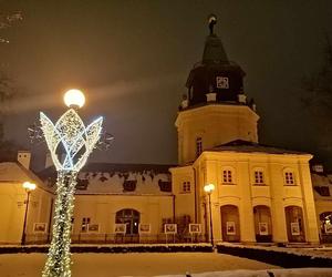 W siedleckim parku miejskim można spotkać m.in. podświetloną postać Księżnej Aleksandry Ogińskiej