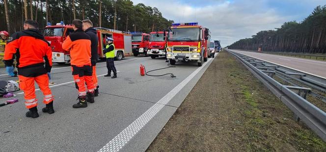 Śmiertelny wypadek na A2 pod Słubicami. 57-latek z forda wjechał pod tira [ZDJĘCIA].