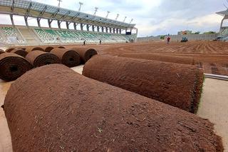 Na stadionie Radomiaka przy ul. Struga zrobi się zielono! Dziś rozpoczęło się układanie murawy