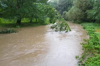 Wezbrane rzeki na Dolnym Śląsku