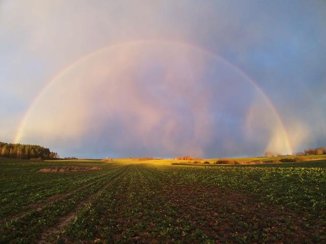 Bajeczny widok po wichurze. Kolorowa tęcza robi wrażenie! [ZDJĘCIA]