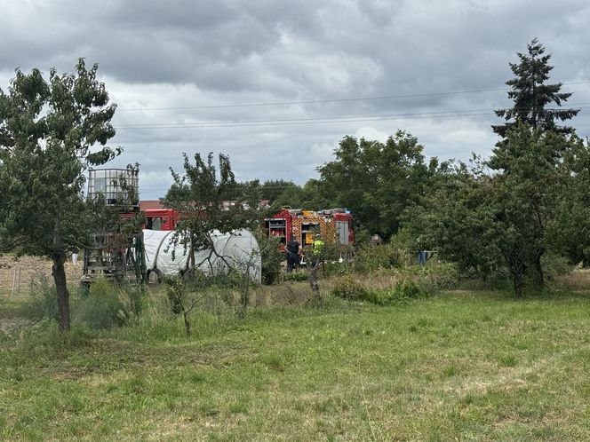 Wypadek awionetki w Krzycku Wielkim