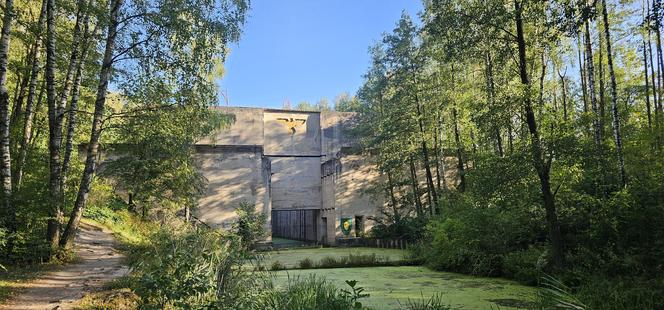 Monumentalna śluza Leśniewo z symbolami III Rzeszy ukryta w mazurskim lesie. Jest owiana tajemnicą [ZDJĘCIA]