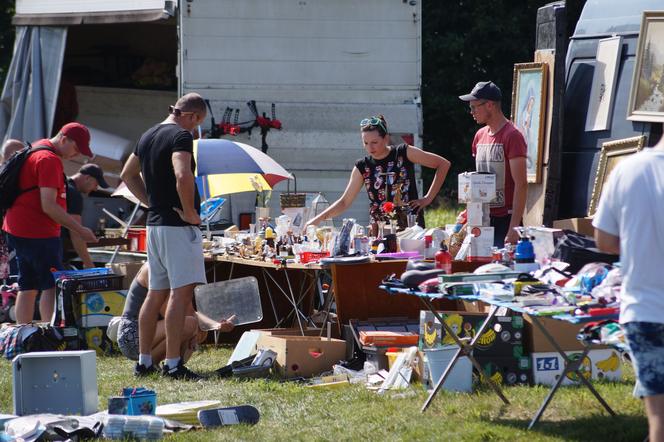 Pchli targ w podbydgoskich Przyłękach przyciągnął tłumy [ZDJĘCIA]