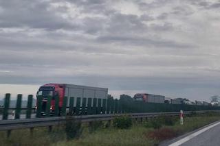 Śmiertelny wypadek na S7 pod Elblągiem [ZDJĘCIA]