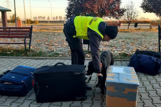 Kapsułki do prania na A4! Zdecydowanie nie prały. Zatrzymanie na autostradzie