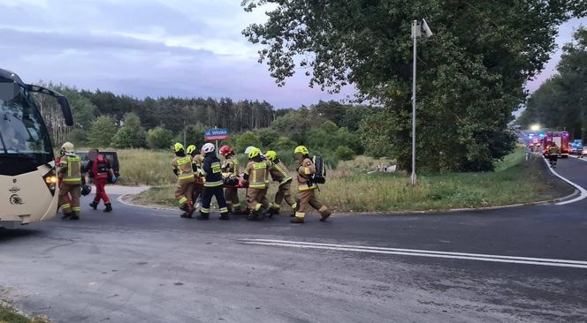 Przytoczna. Śmiertelny wypadek na DK 24. 49-latek nie żyje [ZDJĘCIA].