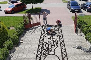 Dywan z kwiatów Świdnik