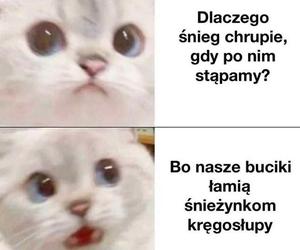 Memy o zimie roztapiają smutki. Te śnieżne obrazki rozbawią cię do łez [TOP 75]