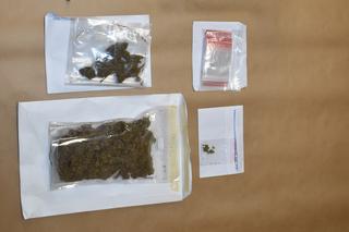 Akcja policji pod Toruniem. Przejęli znaczną ilość narkotyków