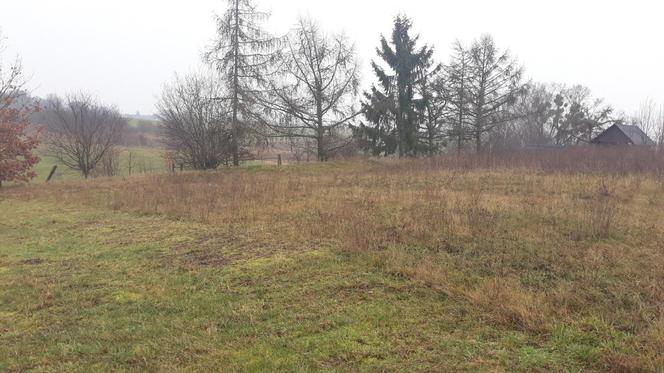  Ukta – działka niezabudowana fot. 2