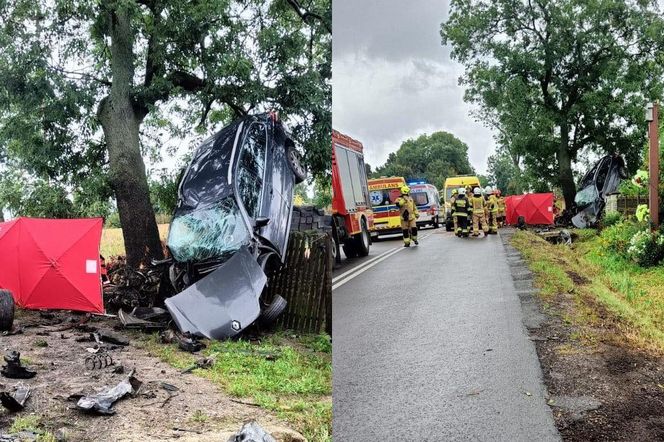 Kierowca nie żyje, kobieta i dziecko w szpitalu. Auto wypadło z drogi