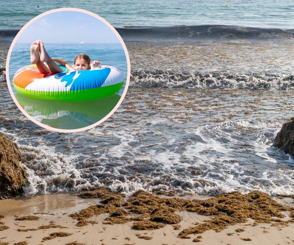 Te plaże Hiszpanii lepiej omijać? Rodzice brzydzą sie puszczać dzieci do wody